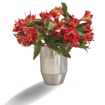 گلدان نقره ای لونا