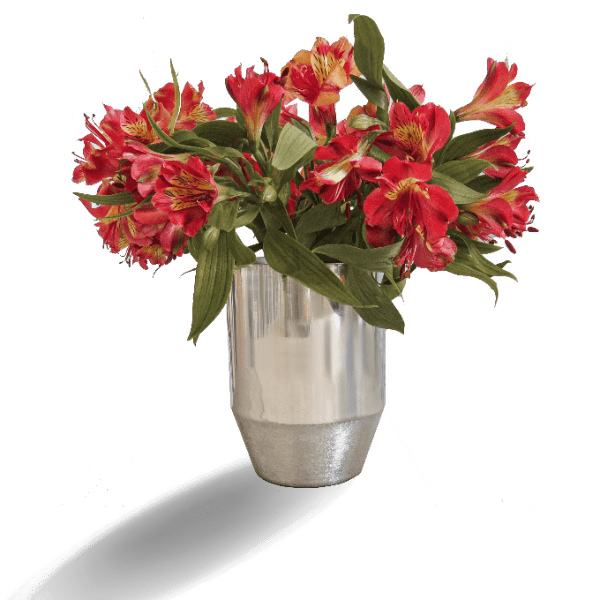 گلدان نقره ای لونا